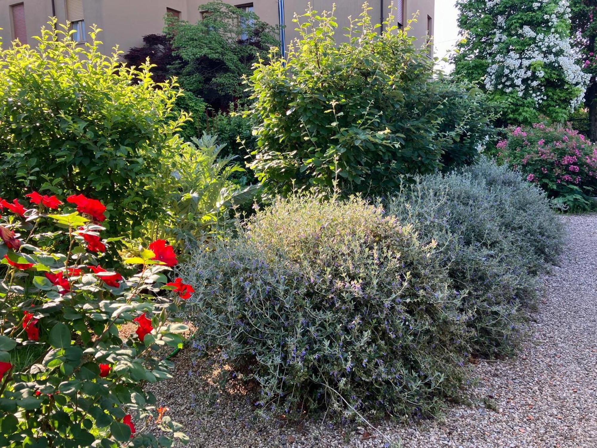 Bed and Breakfast Casa Stucky Údine Exterior foto